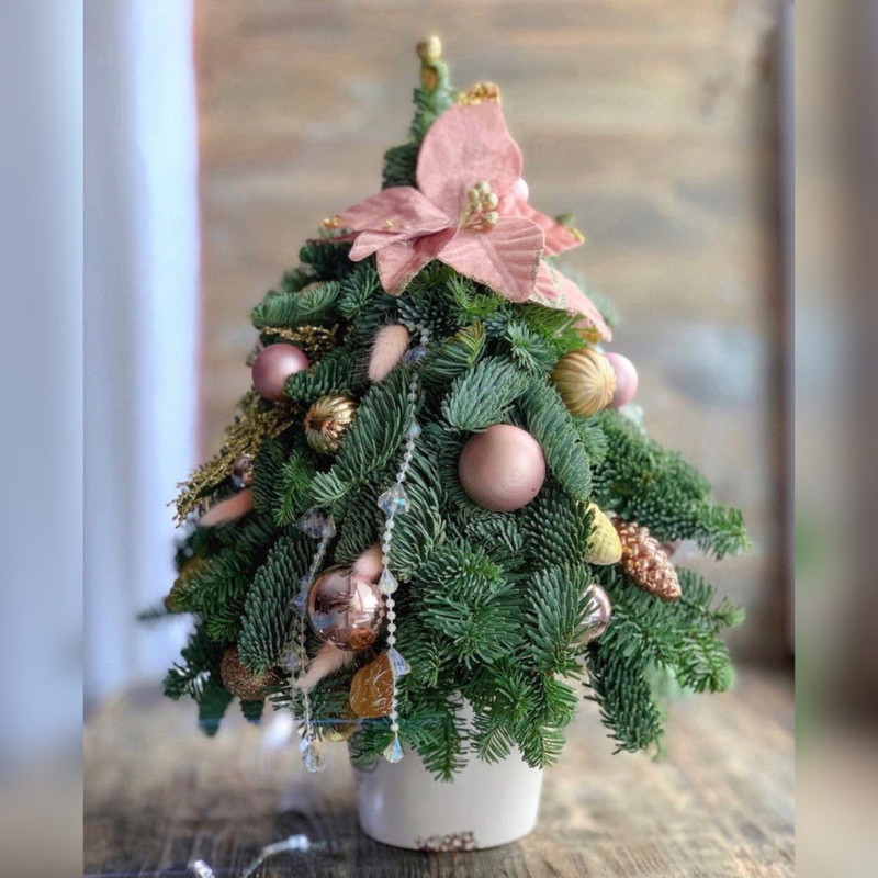 Ель новогодняя в шляпной коробке ручной работы из живого нобилиса 50 см, стандартный