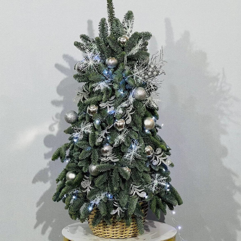 Елка новогодняя из живой хвои нобилис ручная работа, стандартный