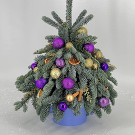 Интерьерная зимняя композиция ёлочка новогодняя 45 см. Ёлка из нобилиса