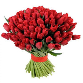 Gigantskij buket 101 krasnij tyul_pan