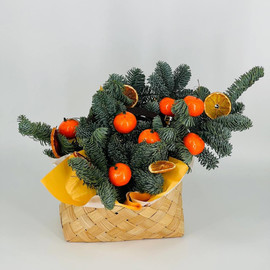 Новогодняя композиция из живой хвои нобилис в плетёной корзинке ручной работы