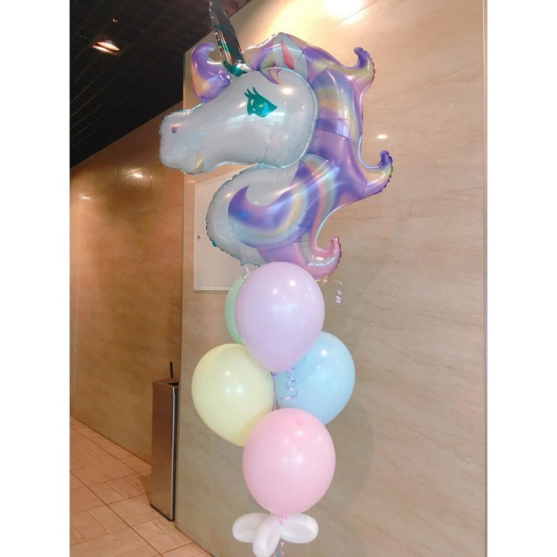 Vozdushnie shari s edinorogom, standart