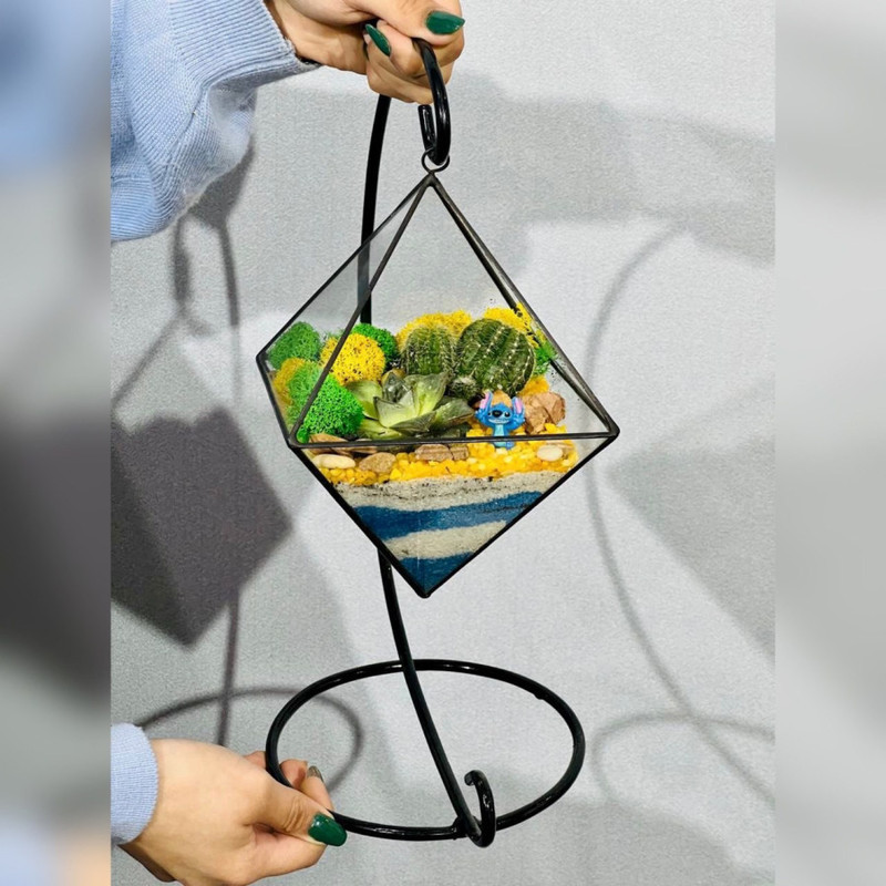 Флорариум подвесной фонарик с кактусами и суккулентом, стандартный