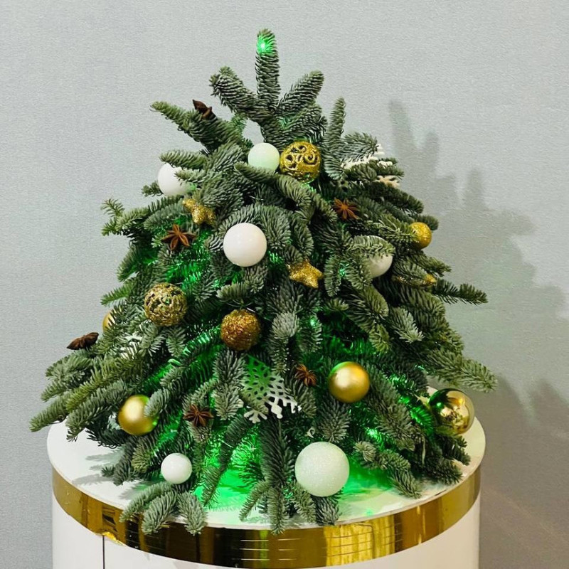 Дизайнерская композиция ёлочка из живой хвои нобилис 40 см, стандартный