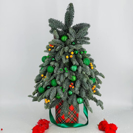 Novogodnyaya yolochka iz nobilisa na Novij god Rozhdestvo 60 sm