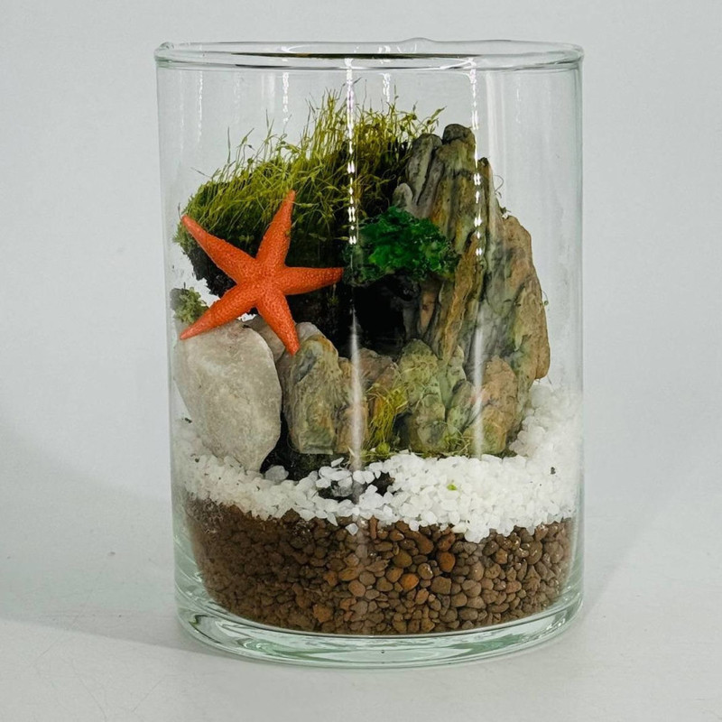 Inter_ernij moharium  floraririum, standart