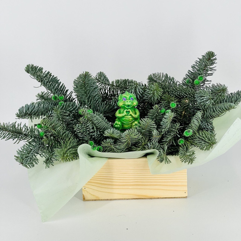 Kompozitciya iz nobilisa v derevyannom kashpo s figurkoj drakon, standart