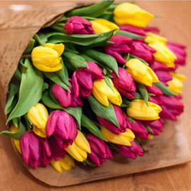 Тюльпаны разноцветные