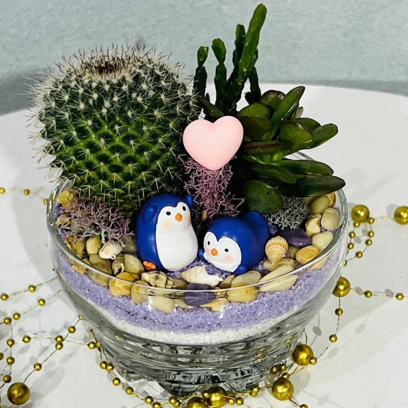 Kaktus s sukkulentami v mini florariume s pingvinchikami, standart