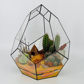 Bol_shoj florarium buton s kaktusami