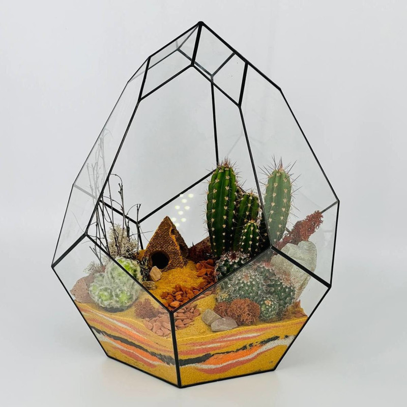 Bol_shoj florarium buton s kaktusami, standart