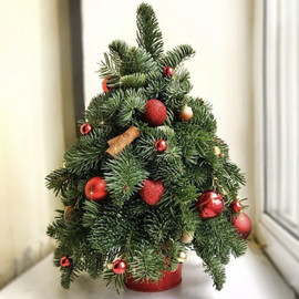 Настольная новогодняя композиция 40 см. Ёлочка из нобилиса