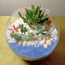 Террариум с суккулентами. Флорариум