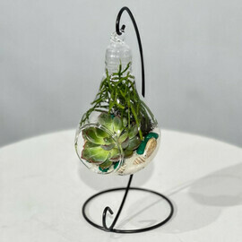 Mini florarium inter_ernij na podvese