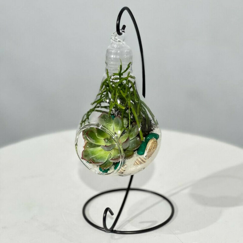 Mini florarium inter_ernij na podvese, standart