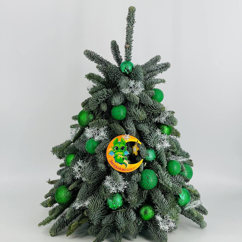 Novogodnyaya yolochka ruchnoj raboti iz natural_nogo lapnika nobilis 50 sm s drakonchikom, standart