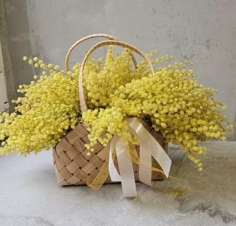 Aromatnaya mimoza v pletyonoj sumochke ruchnoj raboti, standart