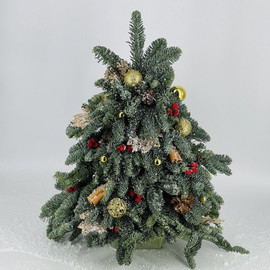 YOlochka inter_ernaya iz vetok nobilisa 50 sm