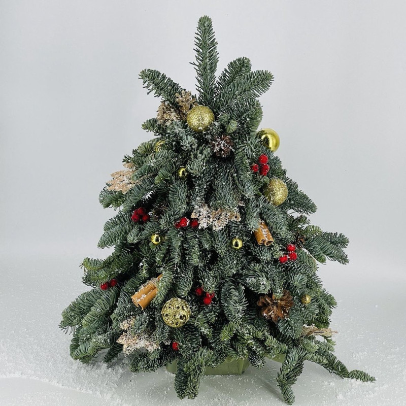 YOlochka inter_ernaya iz vetok nobilisa 50 sm, standart