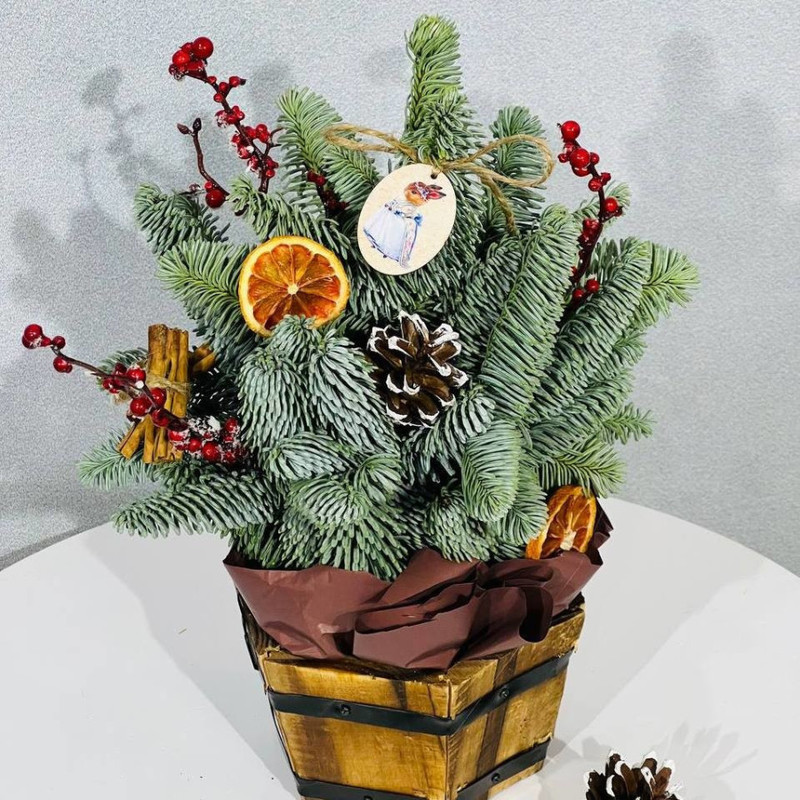 Novogodnyaya yolochka v stile loft iz nobilisa v derevyannom kashpo, standart