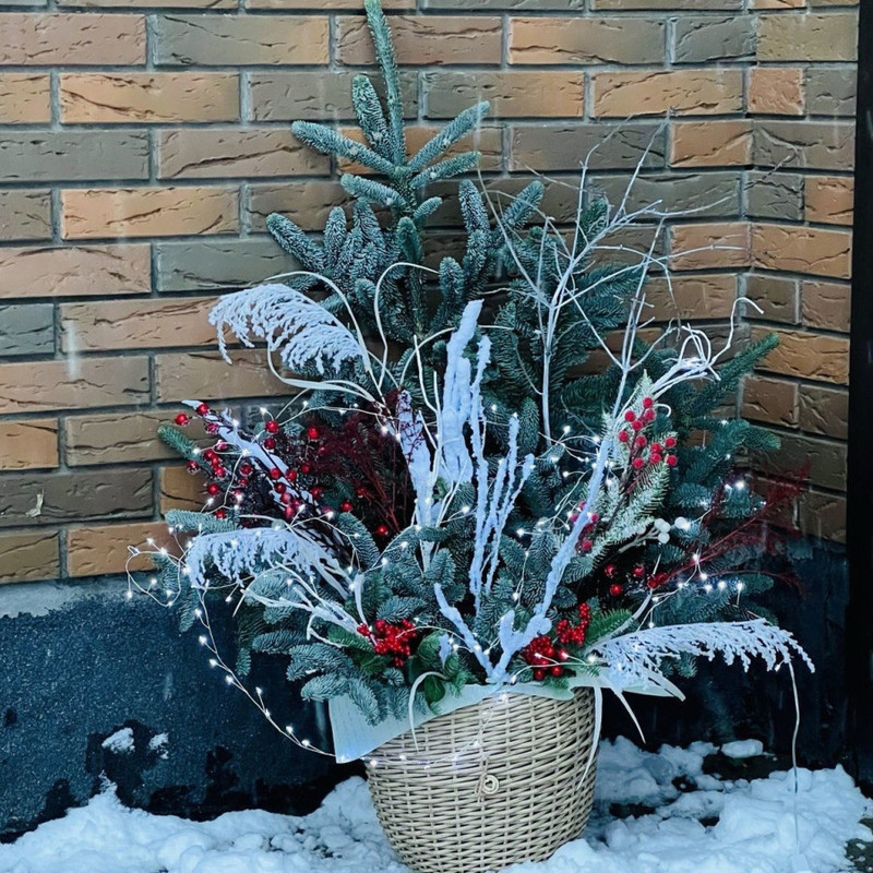 Novogodnyaya kompozitciya dlya terrasi v kashpo iz iskusstvennogo rotanga iz natural_nogo nobilisa, standart