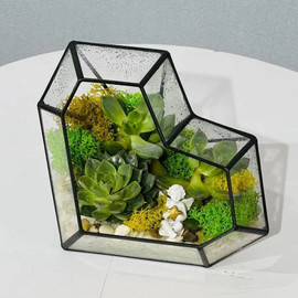 Florarium serdtce s zhivimi rasteniyami