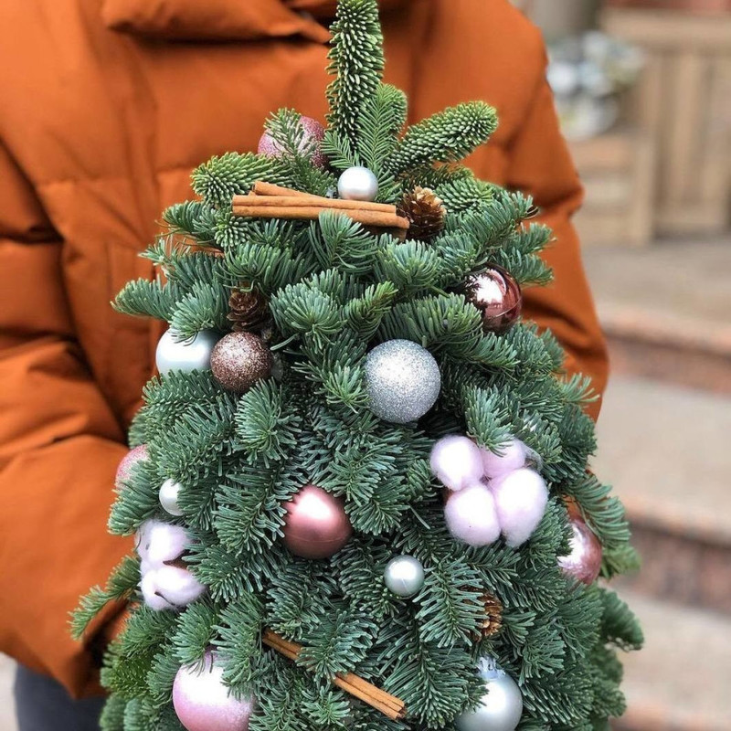 Ёлочка из живой хвои нобилис 40 см, стандартный