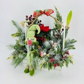 Зимняя композиция из натуральной хвои нобилис с первоцветами гиацинт и амариллис, пуансеттия