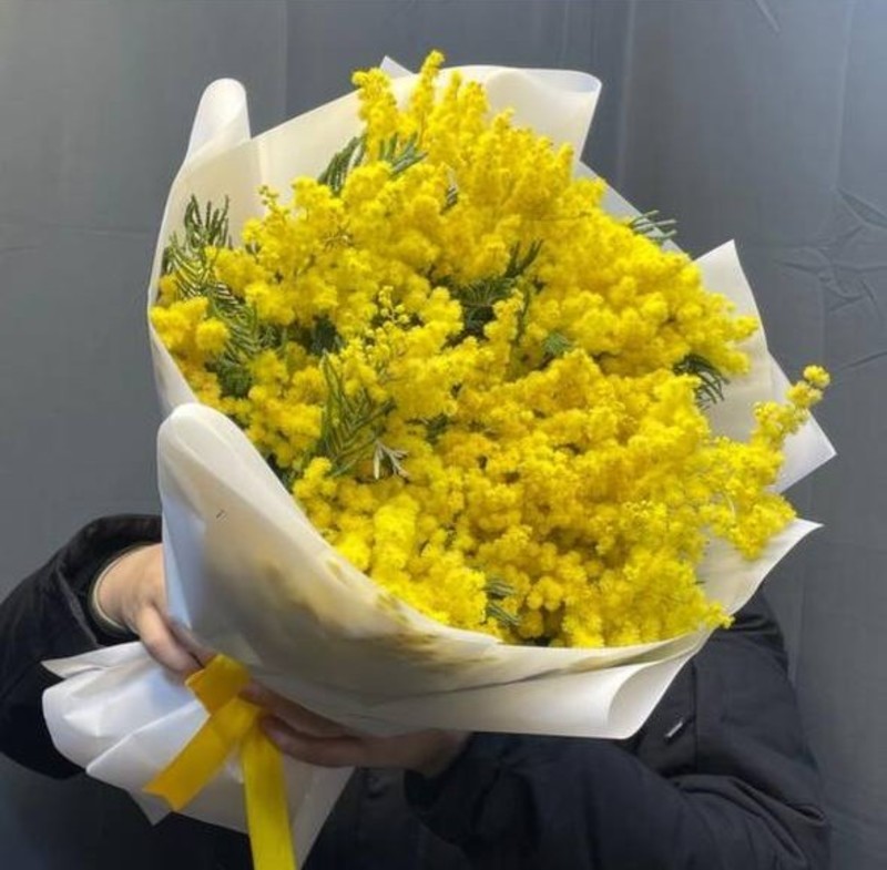 Мимоза 9 веток. Букет из мимозы, стандартный