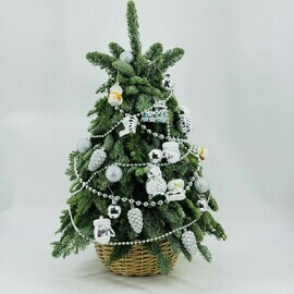 Новогодняя ёлочка ручной работы 70 см из живого нобилиса с серебристыми игрушками в кашпо из ротанга