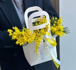 Sumochka s aromatnoj mimozoj