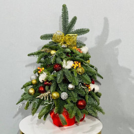 Novogodnyaya yolochka ruchnaya rabota iz zhivogo nobilisa 50 sm