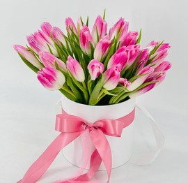 Tyul_pani rozovie 35 sht