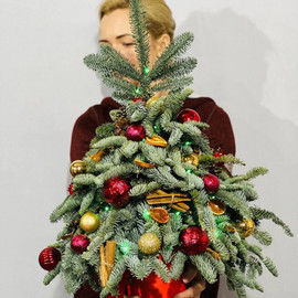 Ель декоративная из живого нобилиса в коробке 50 см