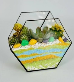 Florarium podarochnij s kamennoj rozoj i kaktusami