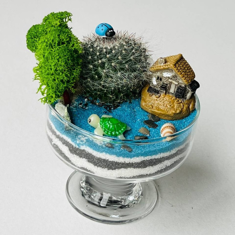 Kaktus v bokale. Mini florarium morskoj briz s domikom i cherepahoj, standart