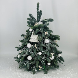 Novogodnyaya yolochka belie shari 50 sm. YOlka iz nobilisa