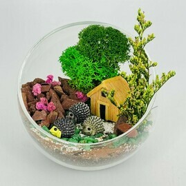 Dekorativnij mini florarium "YOzhiki u domika". Inter_ernij florik