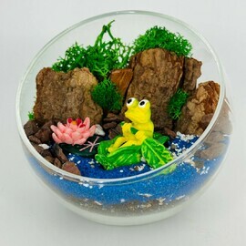 Флорариум с каменной розой