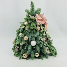 Новогодняя ель из живого нобилиса 50 см