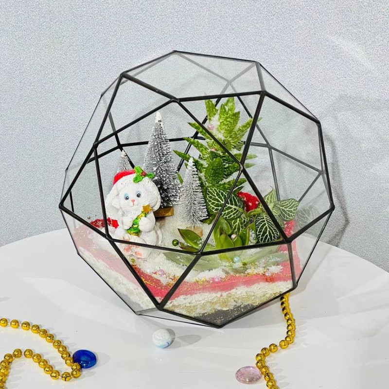 Новогодний флорариум, стандартный