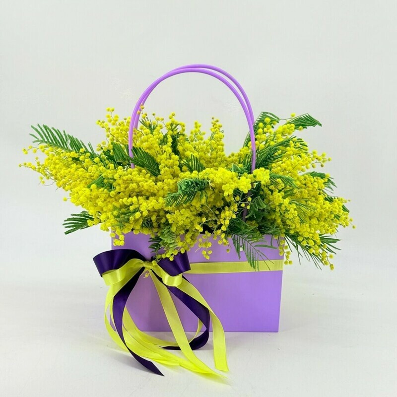 Mimoza v sumochke, standart