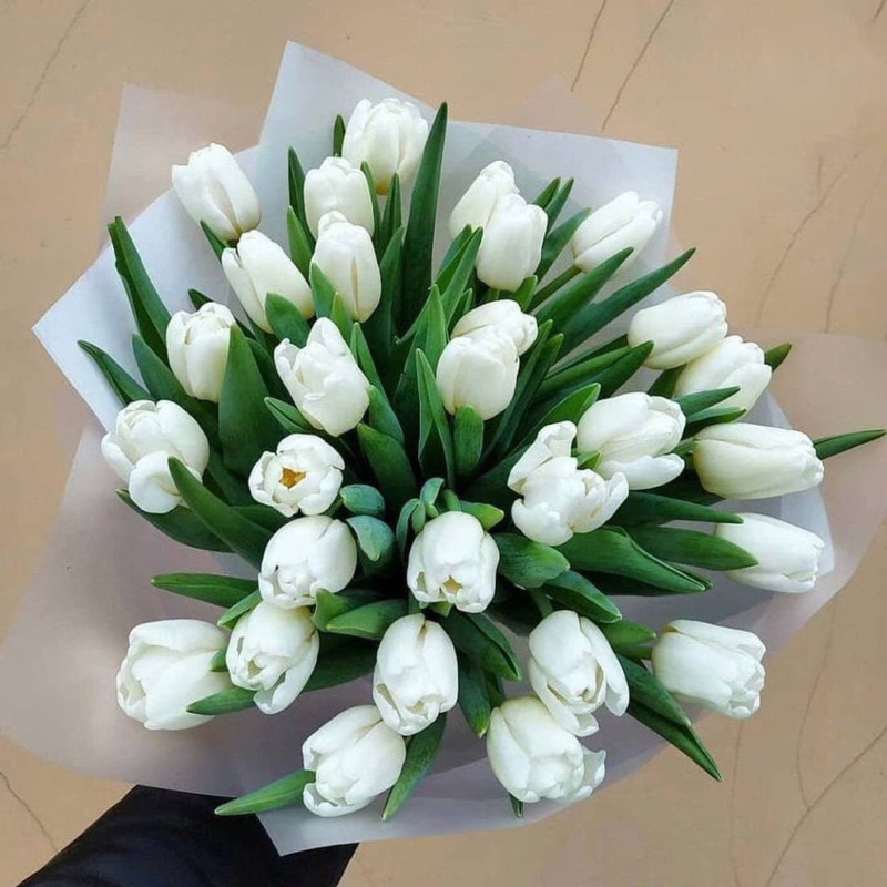 Букет белых тюльпанов, стандартный