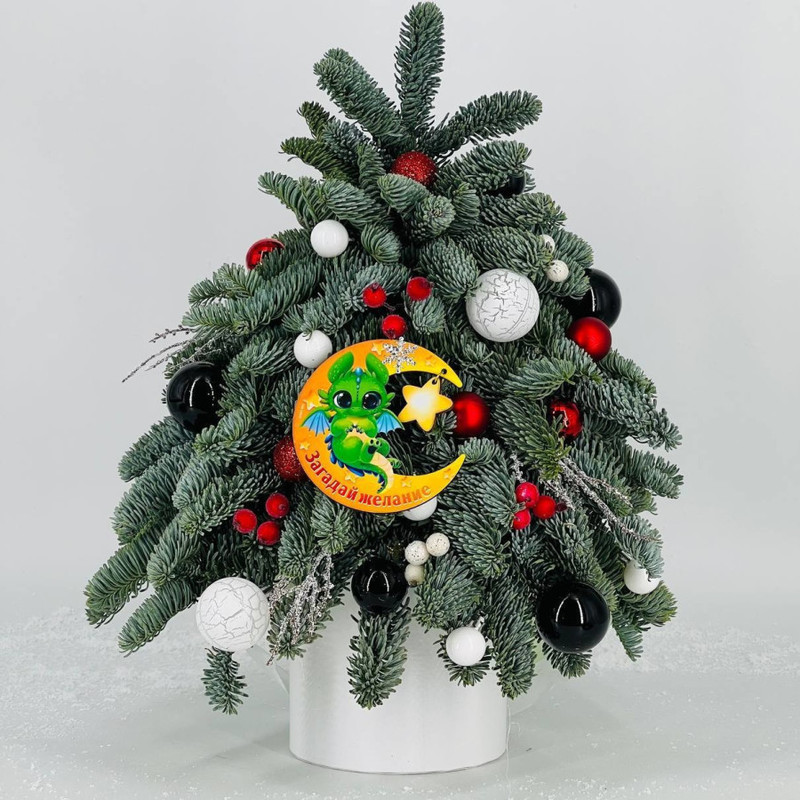 Novogodnyaya elka iz zhivogo nobilisa 45 sm s simvolom goda drakonchik, standart