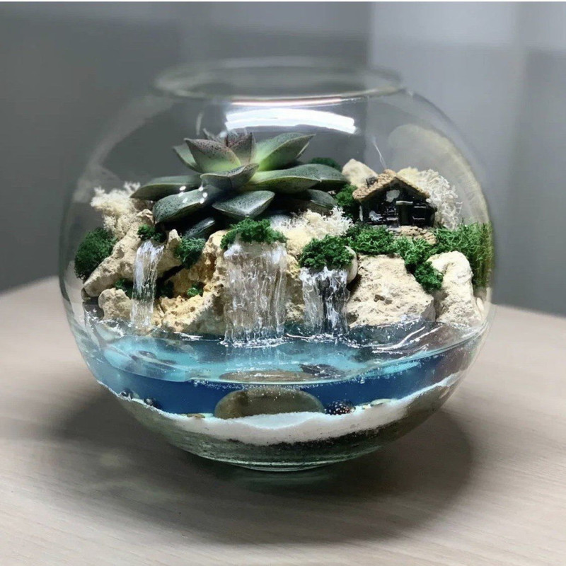 Terrarium s sukkulentami. Florarium s vodoyomom, standart