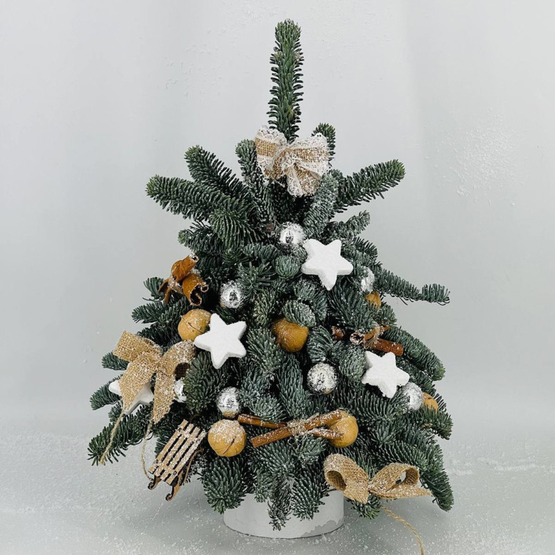 Ёлочка из натурального лапника нобилиса 40 см, стандартный