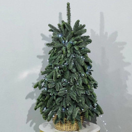 Elka iz natural_noj hvoi nobilis 90 sm ruchnaya rabota