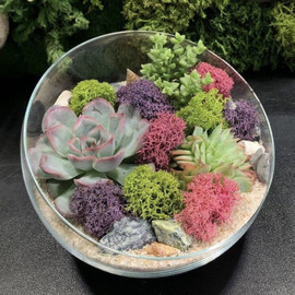 Флорик с суккулентами