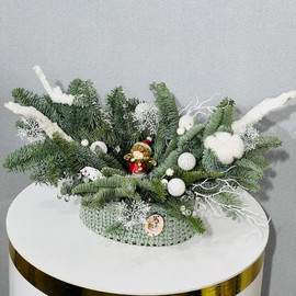 Nastol_naya kompozitciya iz nobilisa