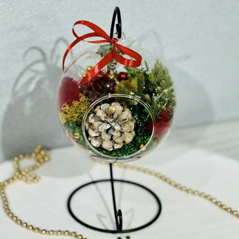 Novogodnij podarok. Florarium s sukkulentami na podvese, standart